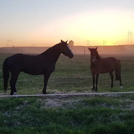 Tiinan Tallin Talo カントリーハウス Seinäjoki