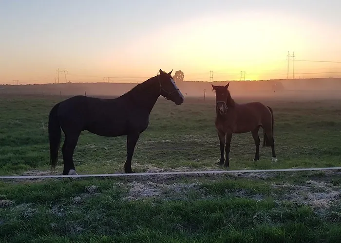 Tiinan Tallin Talo בית כפרי Seinäjoki